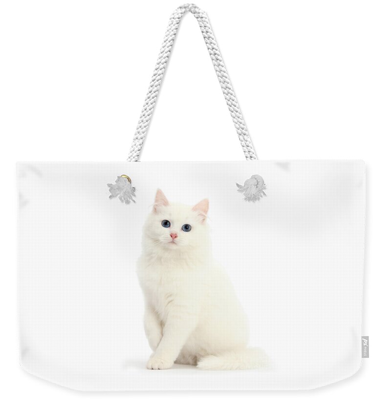White Maine Coon Weekender Tote Bag featuring the photograph I'm All White by Warren Photographic