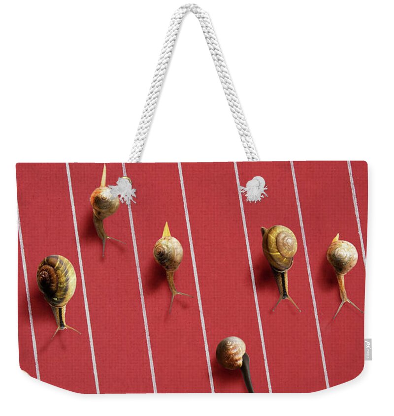 In A Row Weekender Tote Bag featuring the photograph Image Of Snail by Yuji Sakai