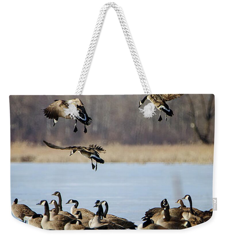 In Coming Weekender Tote Bag featuring the photograph In Coming by Susan McMenamin