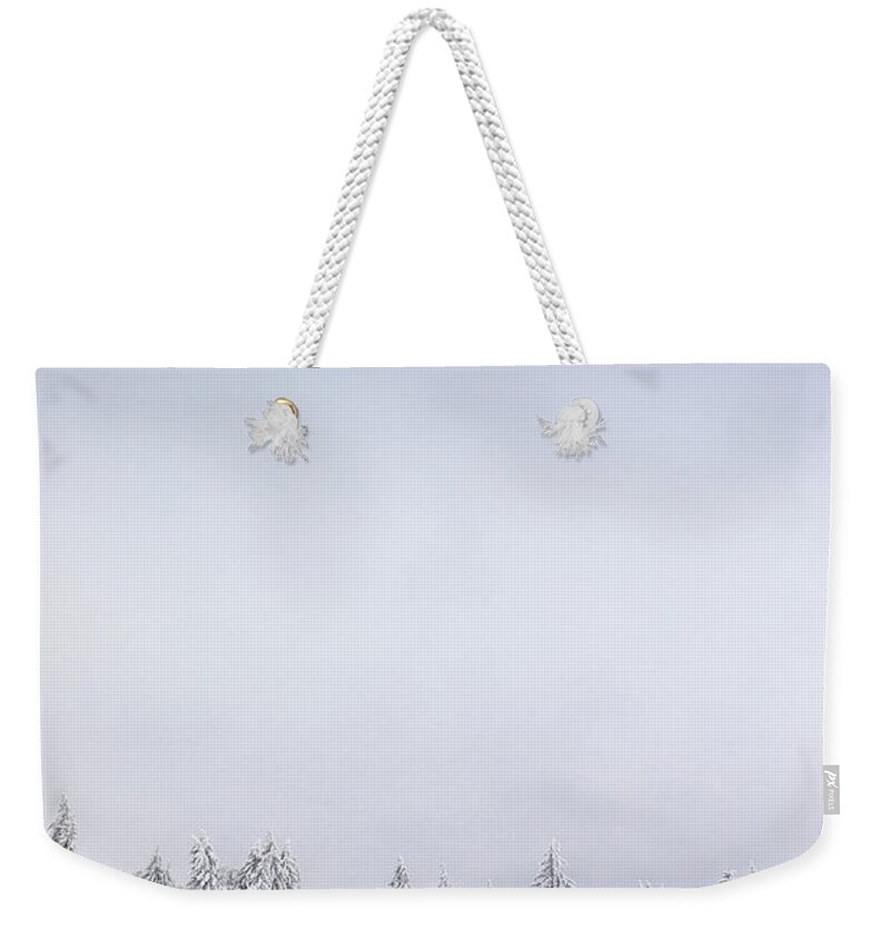 Winter Weekender Tote Bag featuring the photograph In front by Dominique Dubied