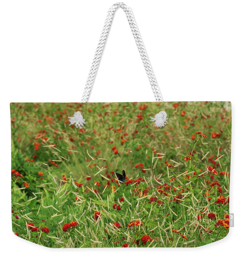 Meadow Weekender Tote Bag featuring the photograph In the Middle of the Meadow by Liz Albro