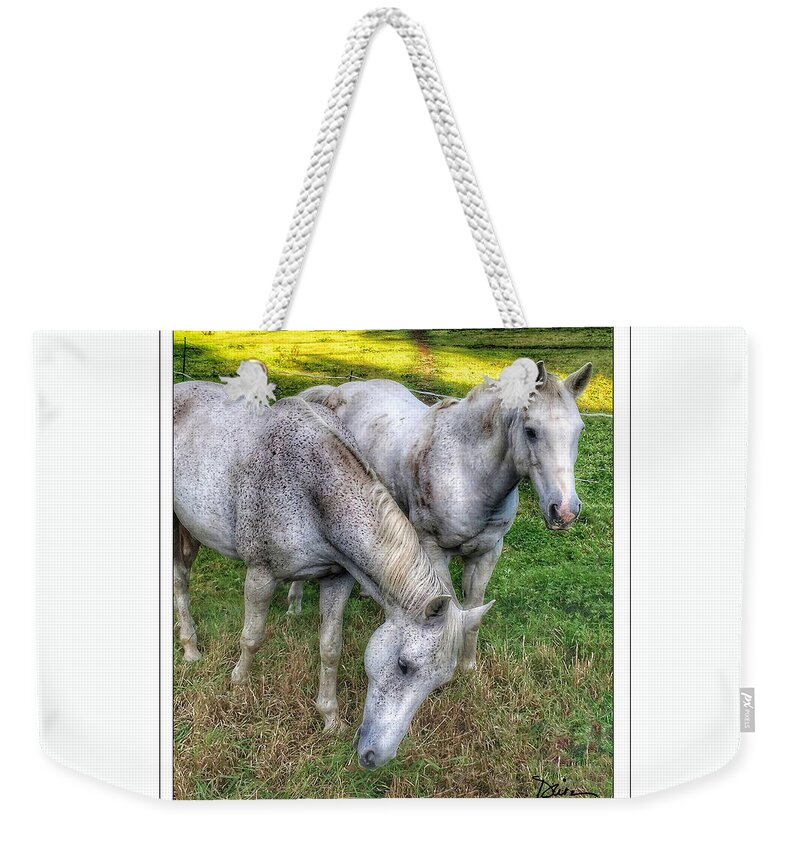Horses Weekender Tote Bag featuring the photograph In The Pasture by Peggy Dietz