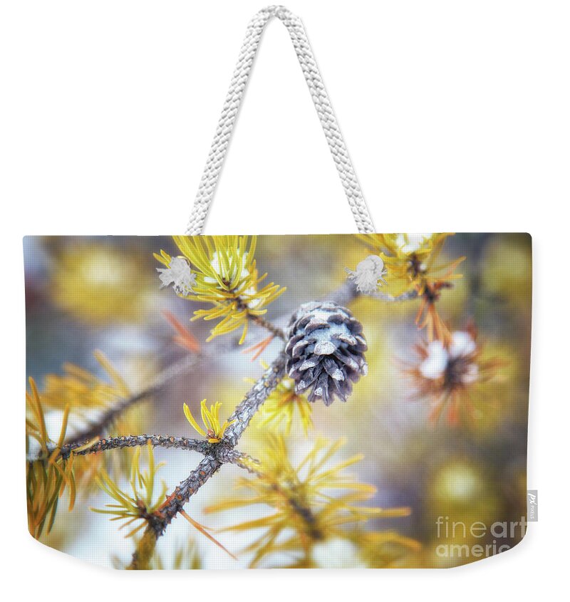 Pine Tree Weekender Tote Bag featuring the photograph In the Pines by Becqi Sherman