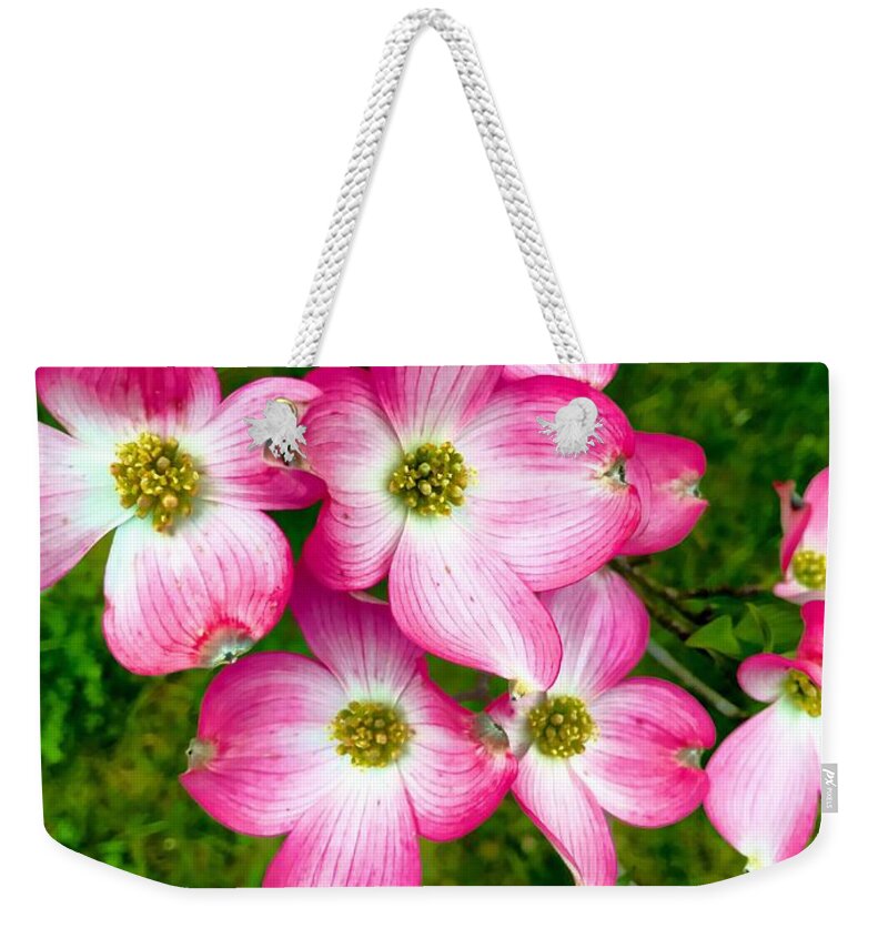 Flower Weekender Tote Bag featuring the photograph In the Pink by Chris Montcalmo