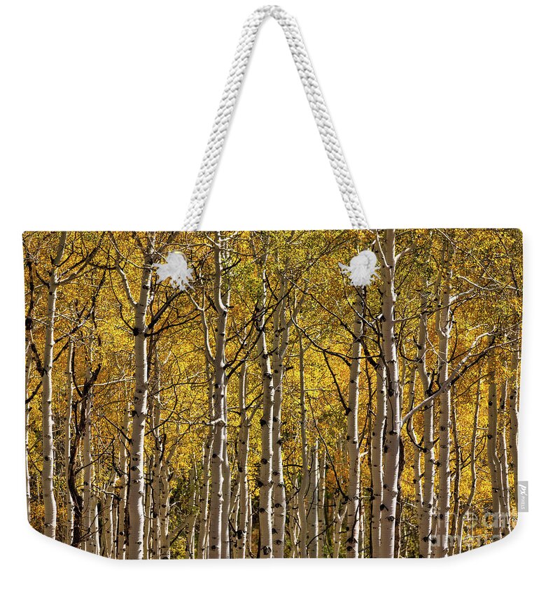 Colorado Weekender Tote Bag featuring the photograph In The Thick Of Aspen by Doug Sturgess