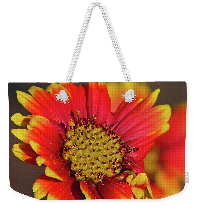 Flower Weekender Tote Bag featuring the photograph Indian Blanket by Michael Allard