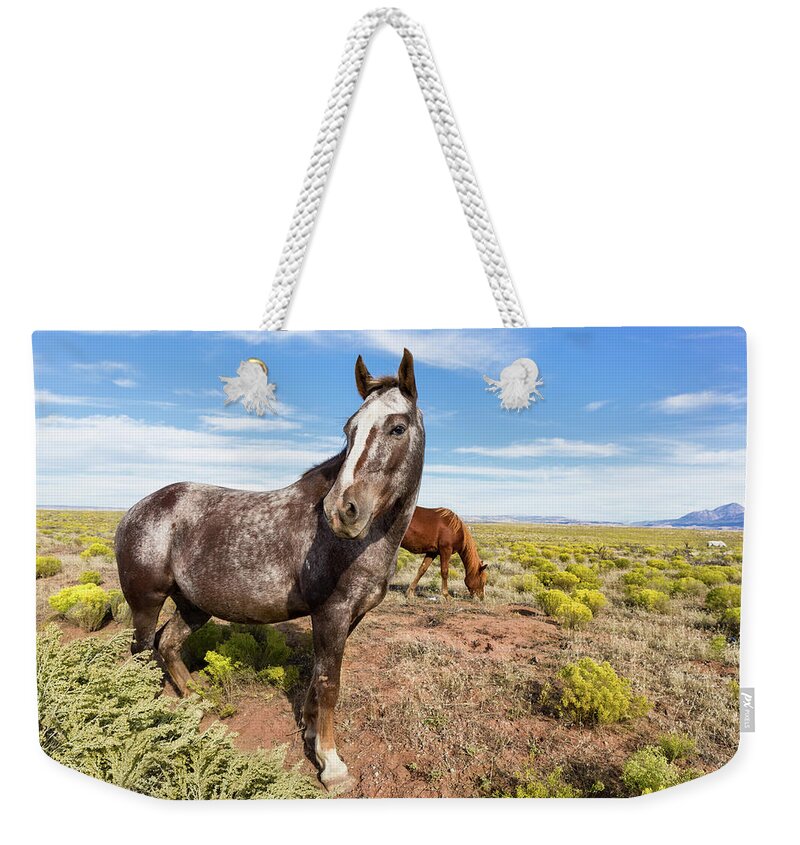 Horse Photo Weekender Tote Bag featuring the photograph Indian Horse in the Desert by Kathleen Bishop
