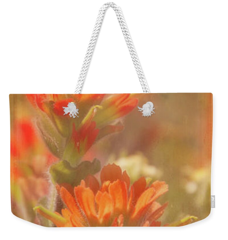 Photography Weekender Tote Bag featuring the digital art Indian Paintbrush 2 by Terry Davis