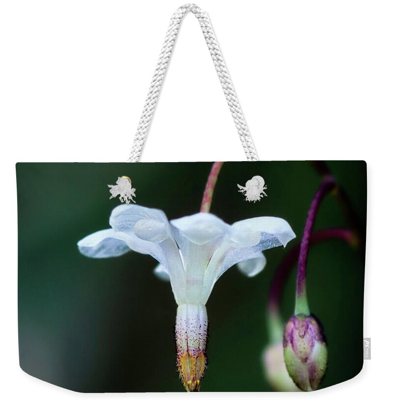 Flower Weekender Tote Bag featuring the photograph Inside Out Flower by Betty Depee