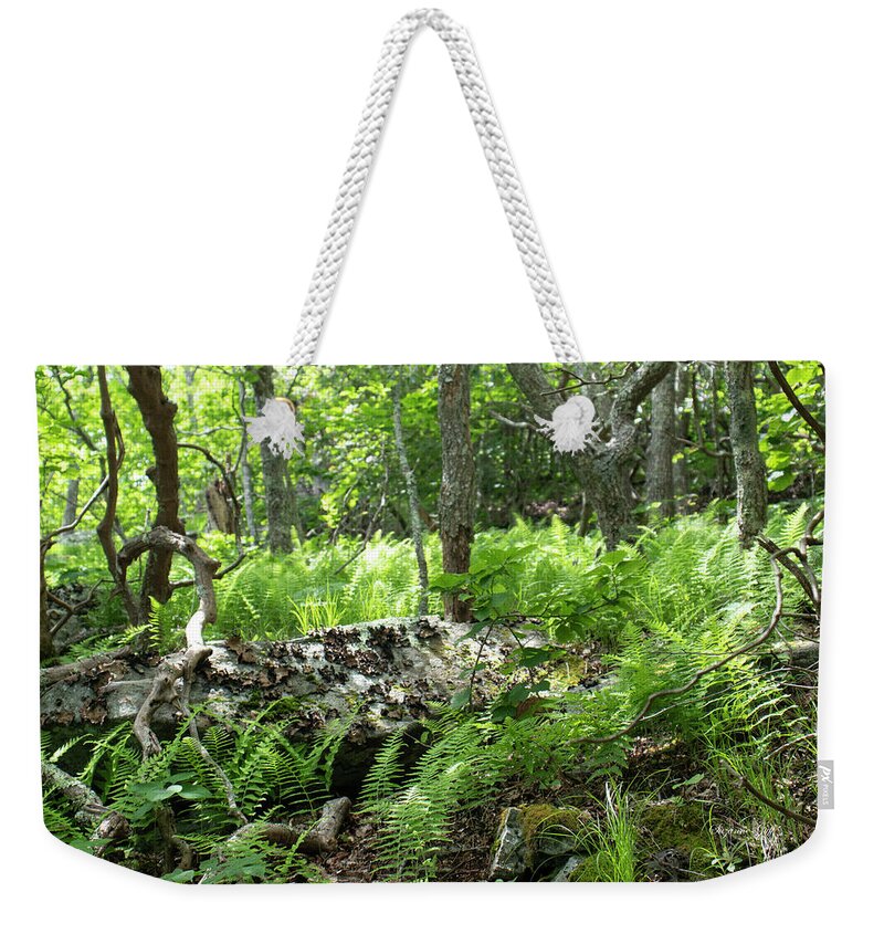 Photograph Weekender Tote Bag featuring the photograph Into the Woods by Suzanne Gaff