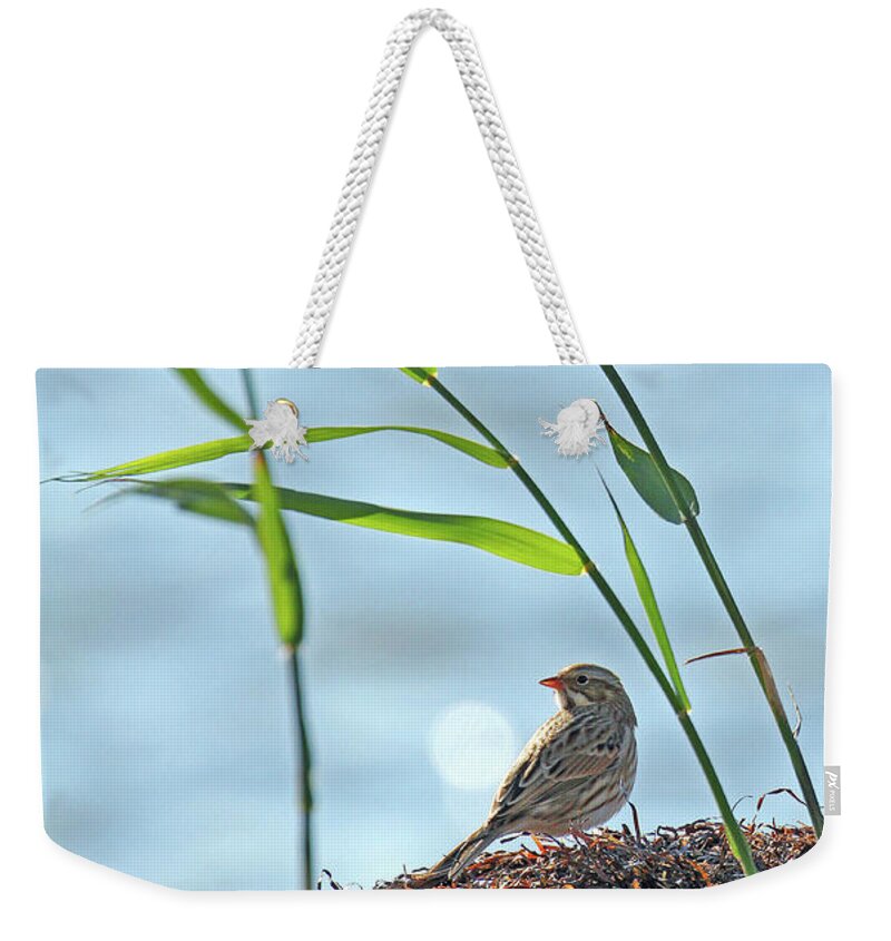 New Jersey Weekender Tote Bag featuring the photograph Ipswich Sparrow by Jennifer Robin