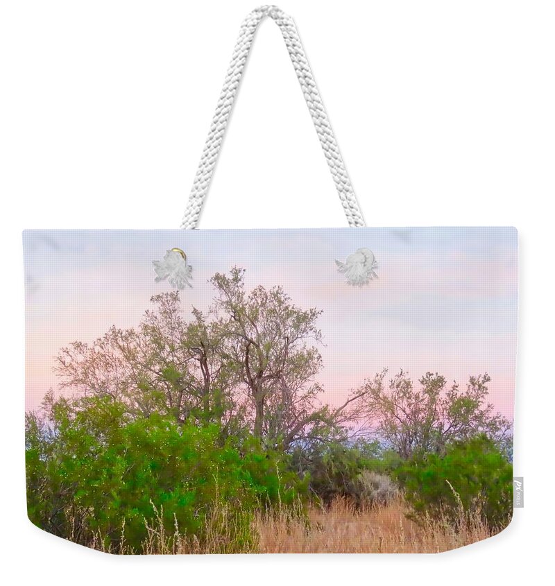 Affordable Weekender Tote Bag featuring the photograph Ironwood Trees After Sundown by Judy Kennedy
