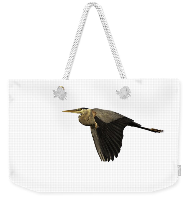 Great Blue Heron Weekender Tote Bag featuring the photograph Isolated Great Blue Heron 2019-2 by Thomas Young