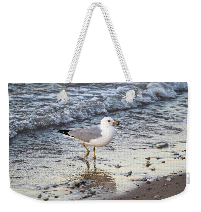 Bird Weekender Tote Bag featuring the photograph Isolated by Mary Anne Delgado
