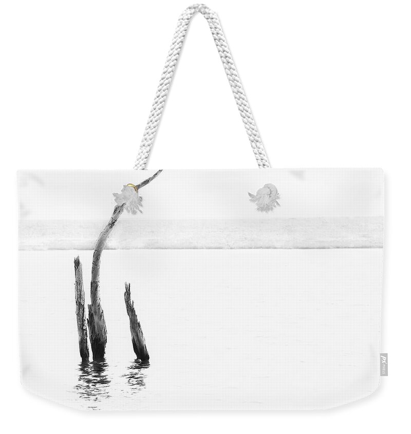 Denise Dube Weekender Tote Bag featuring the photograph Isolation by Denise Dube