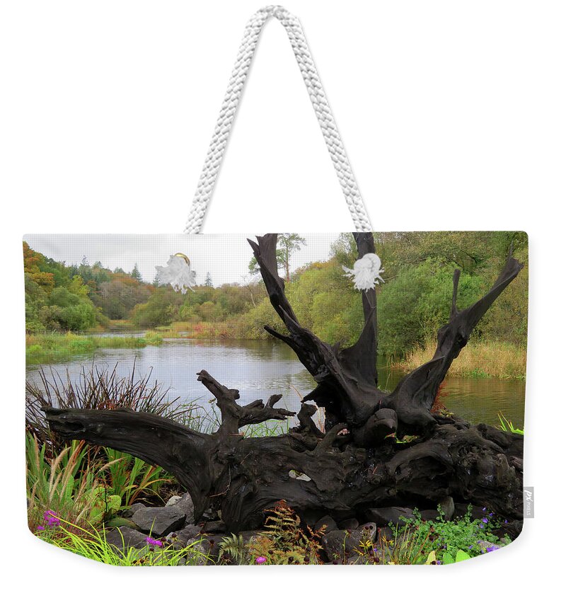 Ireland Weekender Tote Bag featuring the photograph It's a Natural World by Vicky Edgerly