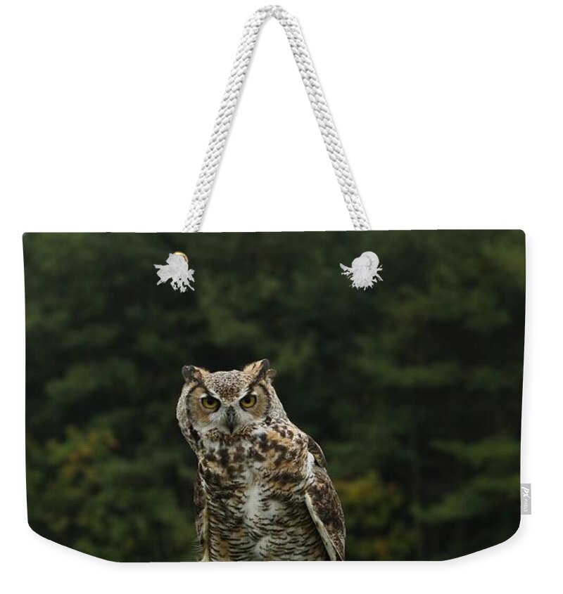 Owls Weekender Tote Bag featuring the photograph It's all about the attitude by Heather King