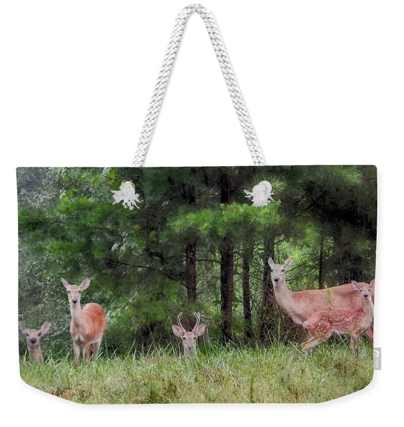 Deer Weekender Tote Bag featuring the photograph I've Been Spotted by Michael Frank