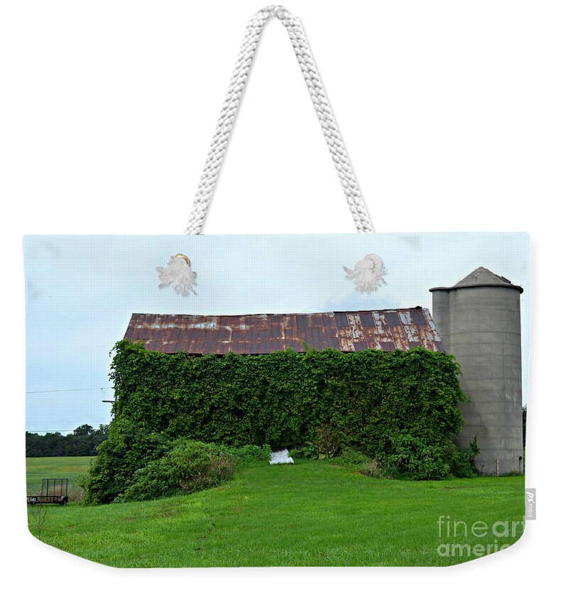 Barn Weekender Tote Bag featuring the photograph Ivy Leaguer by Scott Ward