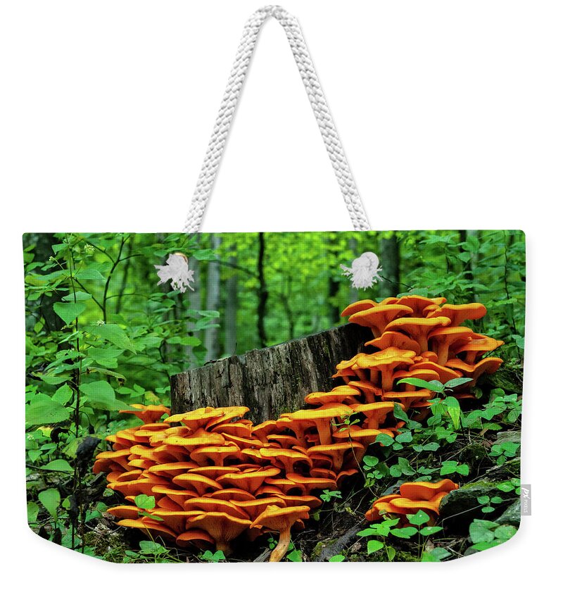 Musrhooms Weekender Tote Bag featuring the photograph Jack O' Lantern Forest by Lara Ellis
