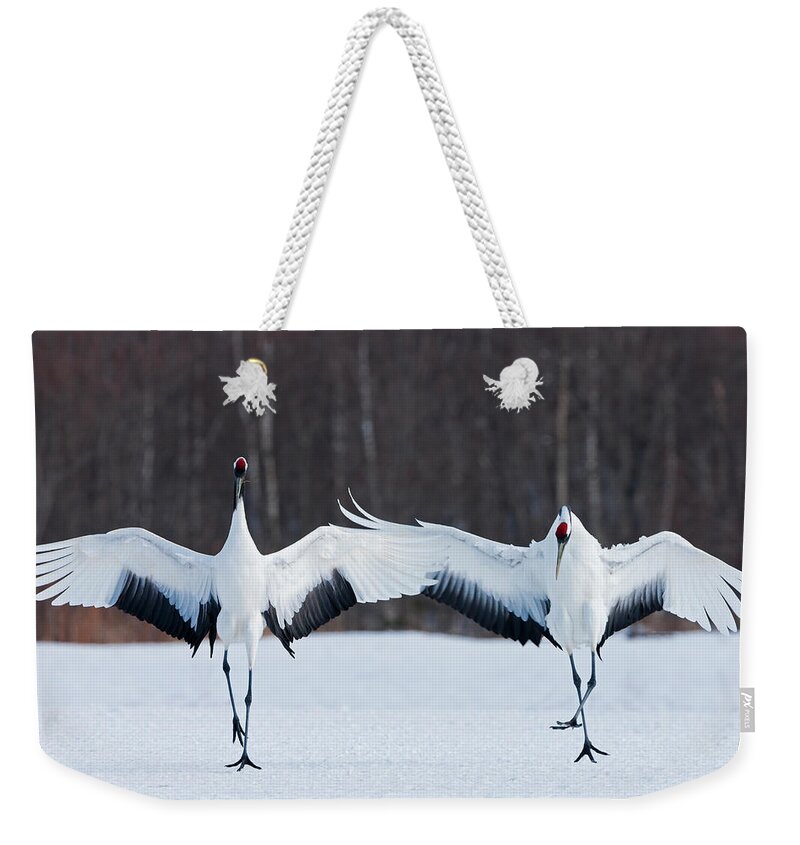 Hokkaido Weekender Tote Bag featuring the photograph Japanese Cranes Standing Upright by Mint Images - Art Wolfe