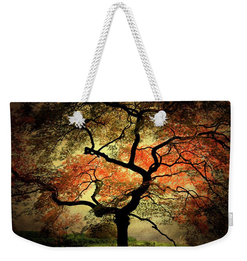 Tree Weekender Tote Bag featuring the photograph Japanise by Philippe Sainte-Laudy