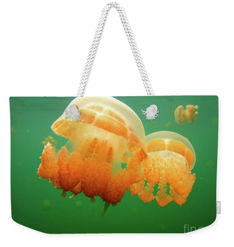 Jellyfish Weekender Tote Bag featuring the photograph Jellyfish Love by Becqi Sherman