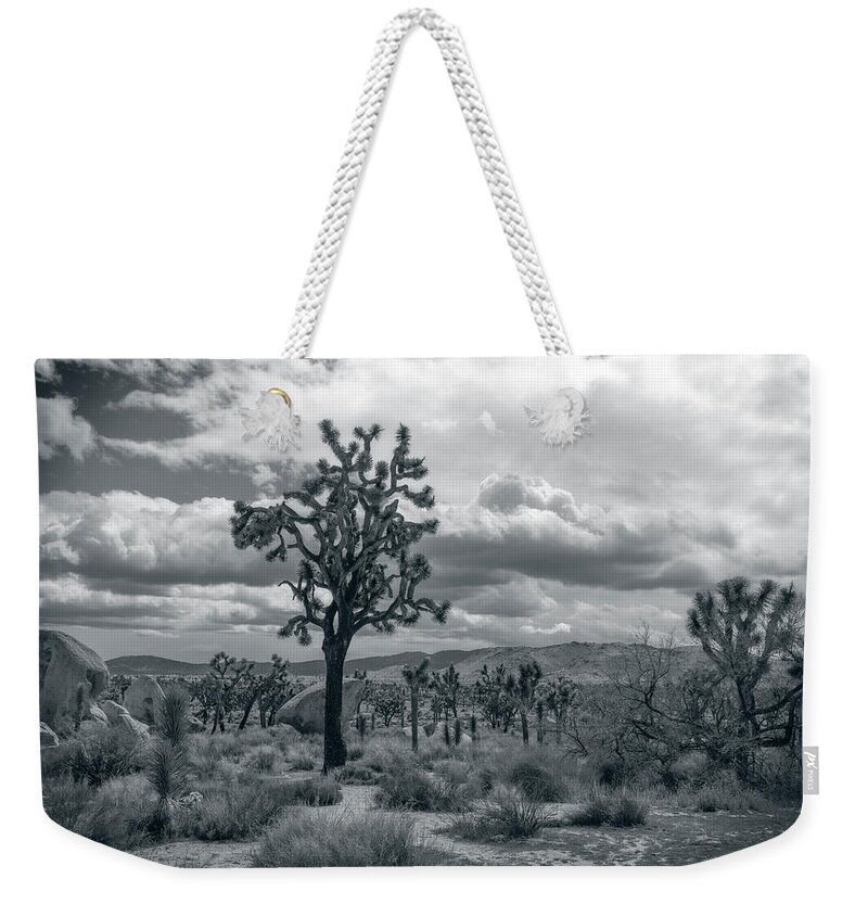 Joshua Tree National Park Weekender Tote Bag featuring the photograph Joshua Trees by Sandra Selle Rodriguez
