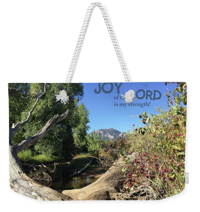  Weekender Tote Bag featuring the mixed media Joy Lord by Lori Tondini