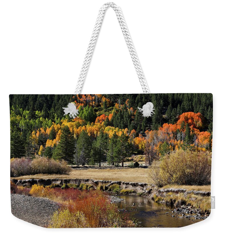  Weekender Tote Bag featuring the photograph Jt__0563 by John T Humphrey