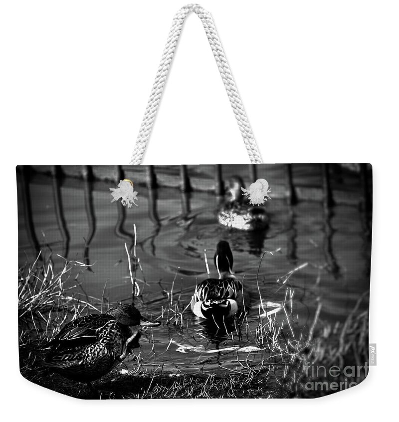 Photograph Weekender Tote Bag featuring the photograph Julie's Photo Monochrome-357 by Fine art photographer JULIE