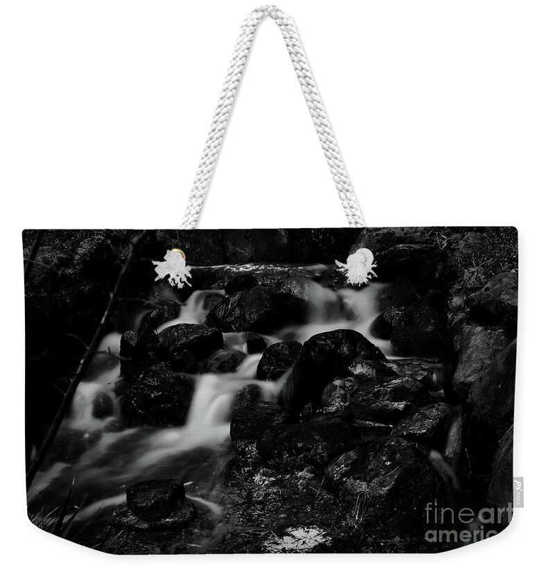 Photograph Weekender Tote Bag featuring the photograph Julie's Photo Monochrome-368 by Fine art photographer JULIE