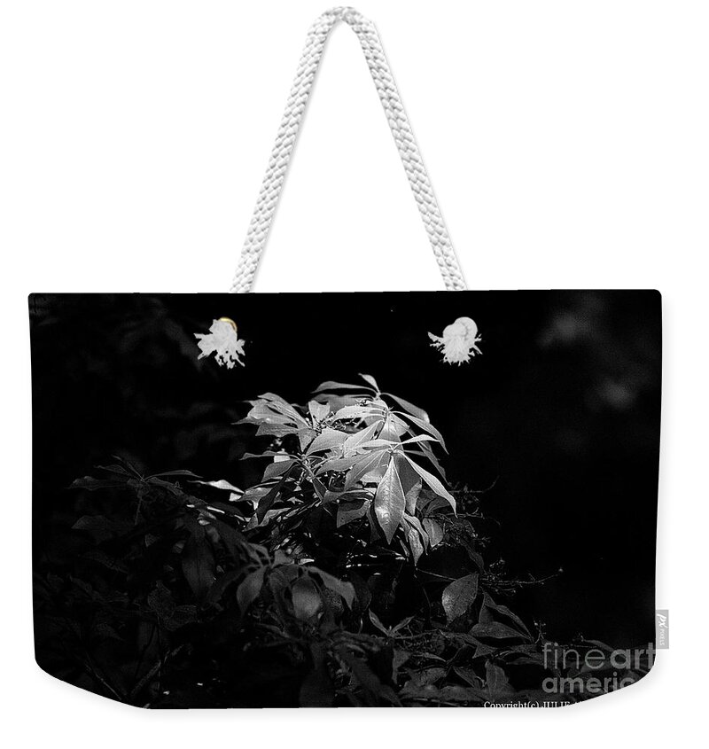 Photograph Weekender Tote Bag featuring the photograph Julie's Photo Monochrome-421 by Fine art photographer JULIE