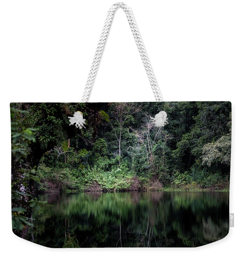 Jungle Weekender Tote Bag featuring the photograph Jungle Light by Mary Lee Dereske