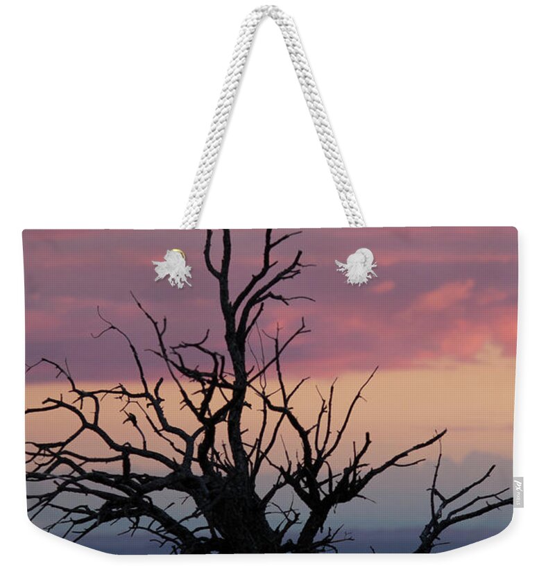 Juniper Weekender Tote Bag featuring the photograph Juniper Skeleton by Jonathan Thompson