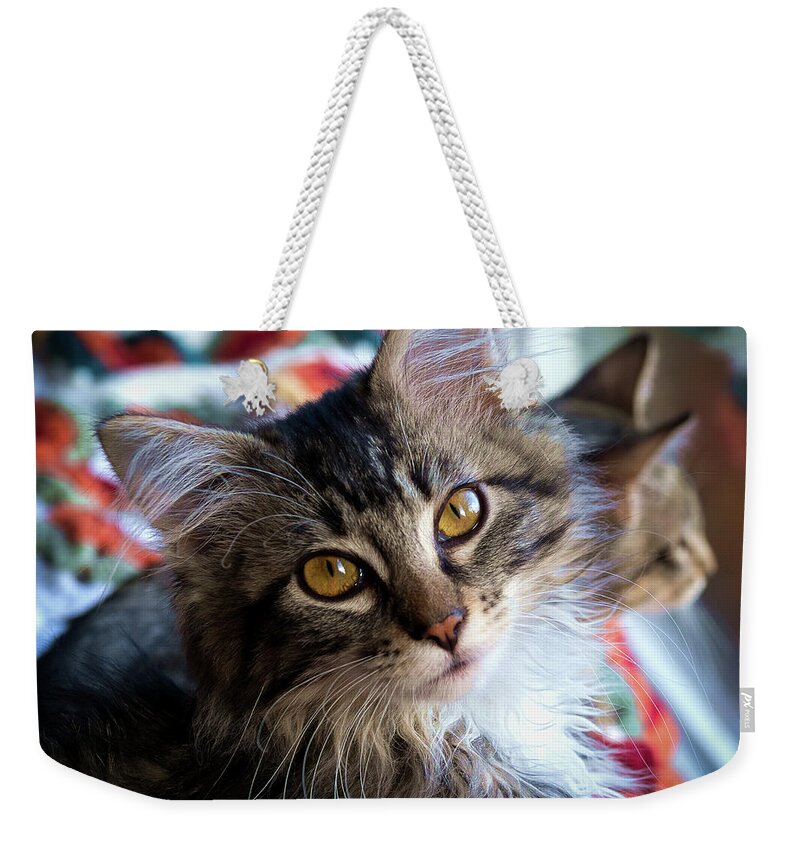 Adorable Weekender Tote Bag featuring the photograph Just Adorable by Jean Noren