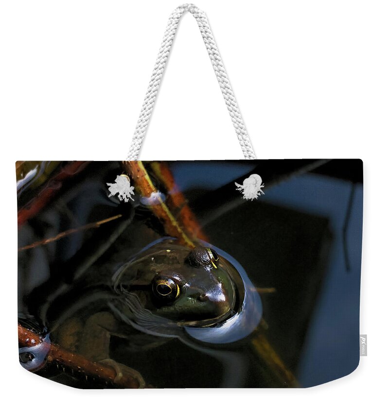 Frog Weekender Tote Bag featuring the Just Chillin' by Jerry LoFaro