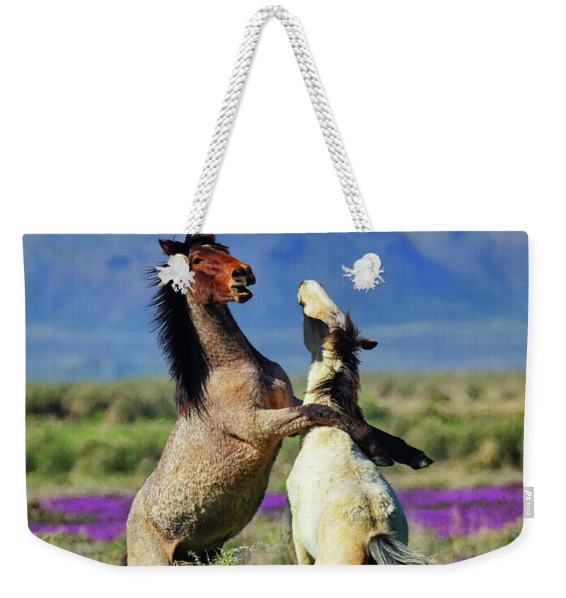Wild Horses Weekender Tote Bag featuring the photograph Just Horsing Around by Greg Norrell