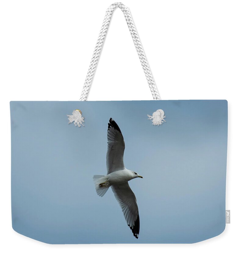 Gull Weekender Tote Bag featuring the photograph Just Looking Around by Sandra J's