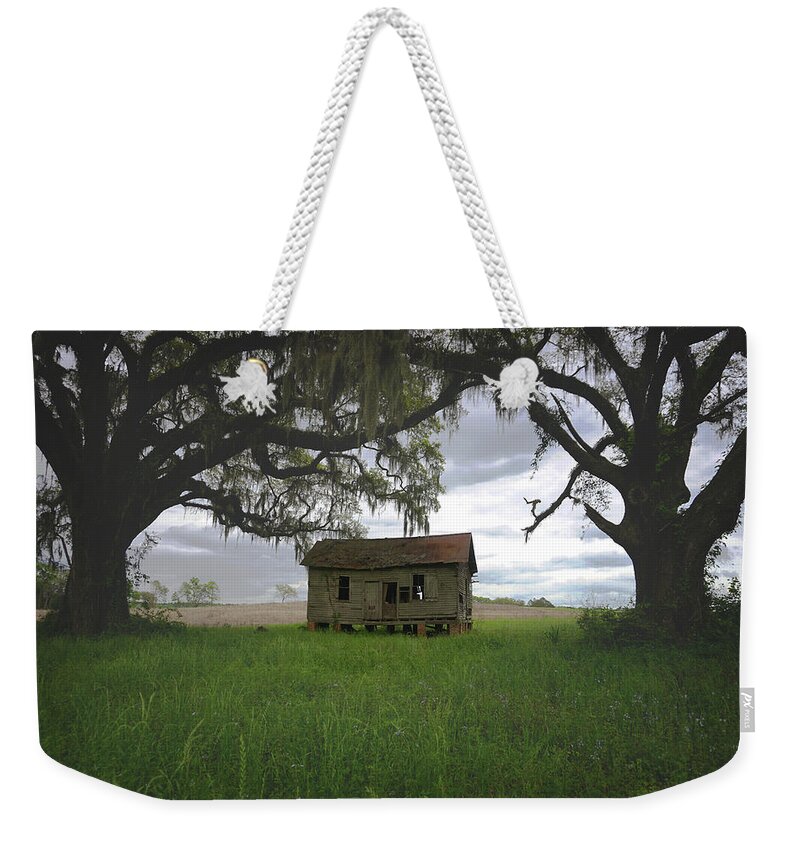Florida Weekender Tote Bag featuring the photograph Just Me and the Trees by Kelly Gomez