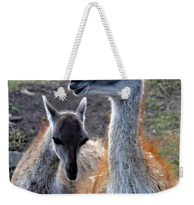 South America Weekender Tote Bag featuring the photograph Keeping Close by Jennifer Robin