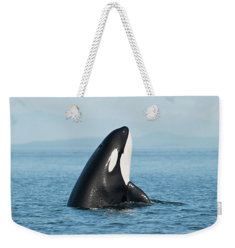 Vancouver Island Weekender Tote Bag featuring the photograph Killer Whale by Taken By Amanda Fletcher