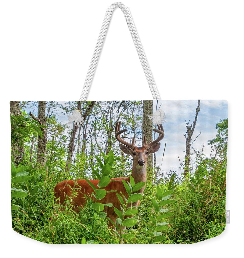Buck Weekender Tote Bag featuring the photograph King of the Mountain by Lara Ellis