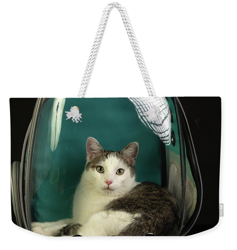 Cat Weekender Tote Bag featuring the photograph Kitty in a Bubble by Susan Warren