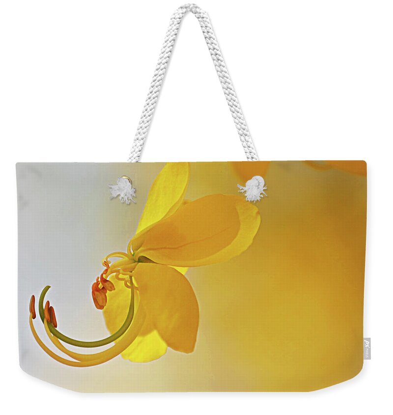 Latin America Weekender Tote Bag featuring the photograph Laburnum by Ana Encinas