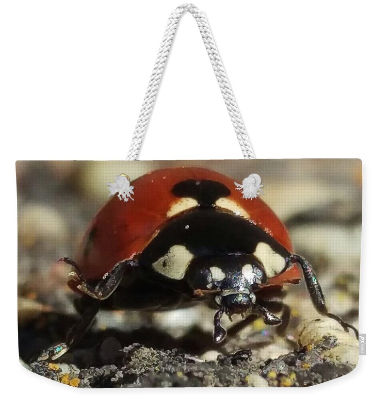 Ladybug Weekender Tote Bag featuring the photograph Ladybug Macro Photography by Delynn Addams