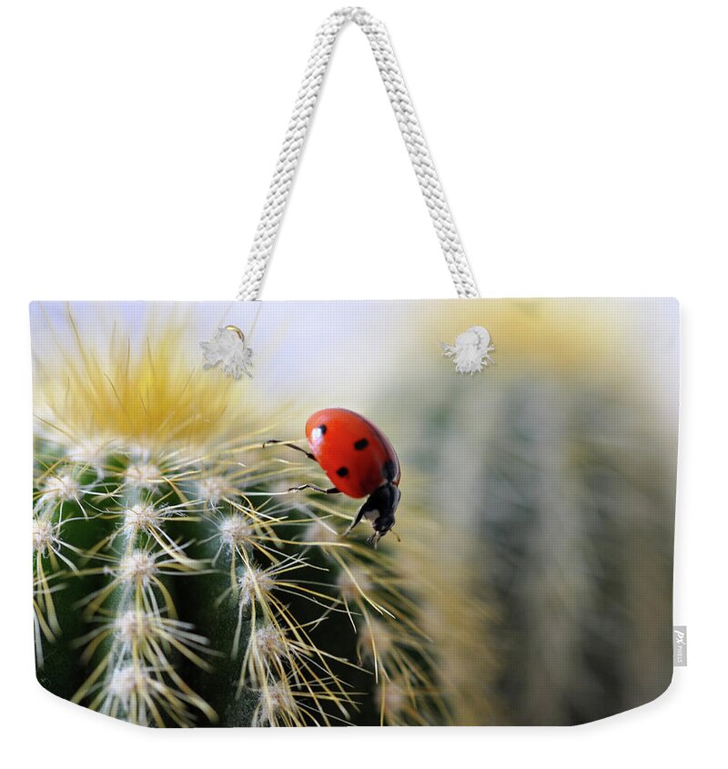Animal Themes Weekender Tote Bag featuring the photograph Ladybug On Cactus by Ta' 