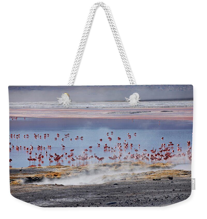 Bolivia Weekender Tote Bag featuring the photograph Laguna Colorada by Juergen Ritterbach