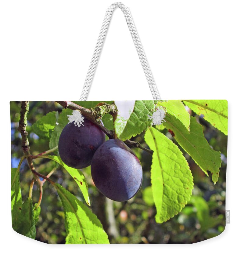 Lancashire Weekender Tote Bag featuring the photograph LANCASHIRE. Eccleston. by Lachlan Main