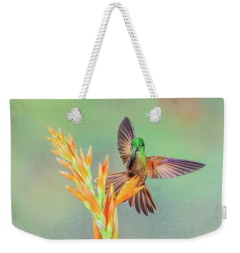 Cory Weekender Tote Bag featuring the photograph Landing by Tom and Pat Cory